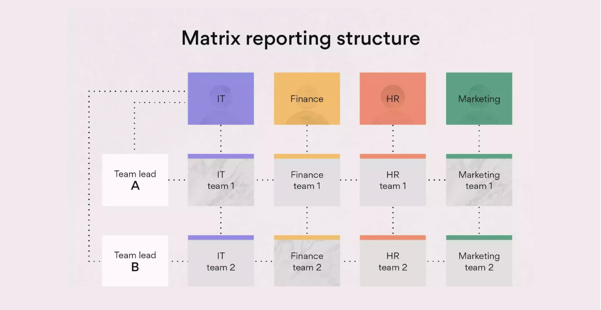 Matrix organisational structure | Matrix reporting structure