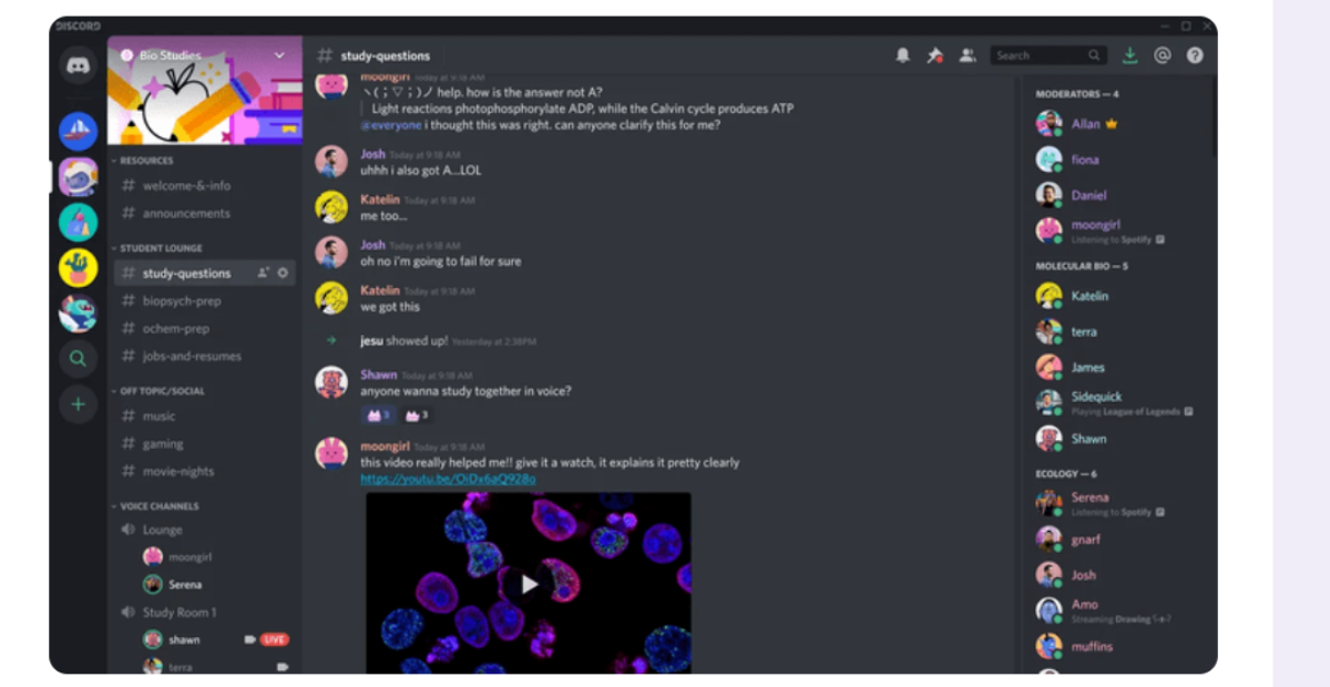 User interface | Discord user interface
